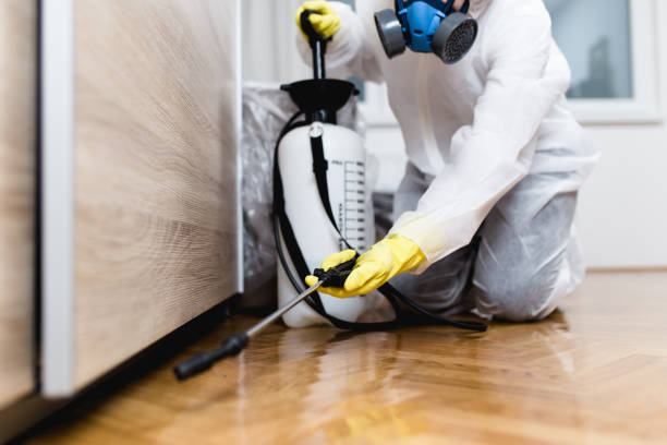 Best Pest Inspection Near Me  in Woodfin, NC