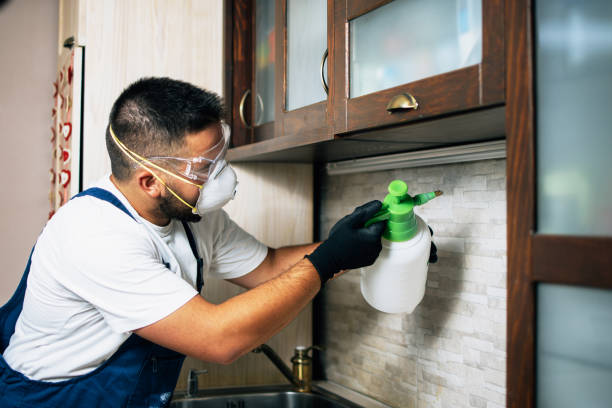 Best Exterminator Services  in Woodfin, NC