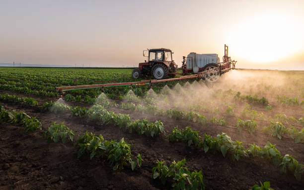 Best Pest Control Treatment  in Woodfin, NC