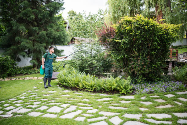 Best Wasp Removal Services  in Woodfin, NC