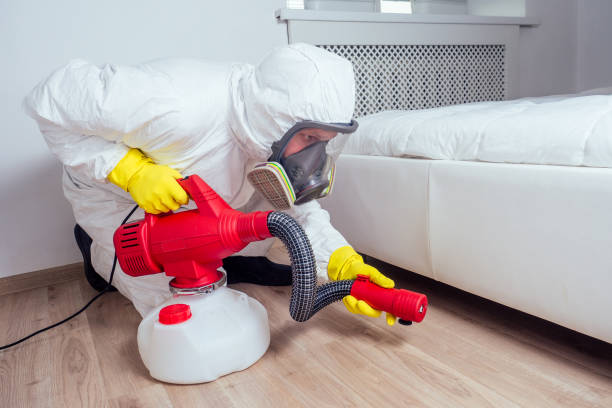 Best Pest Prevention Services  in Woodfin, NC