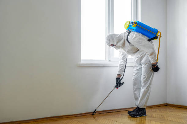 Best Exterminator Services  in Woodfin, NC