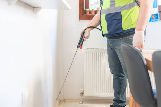 Trusted Woodfin, NC Pest Control Experts