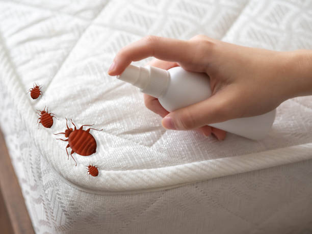 Best Wildlife Control Services  in Woodfin, NC