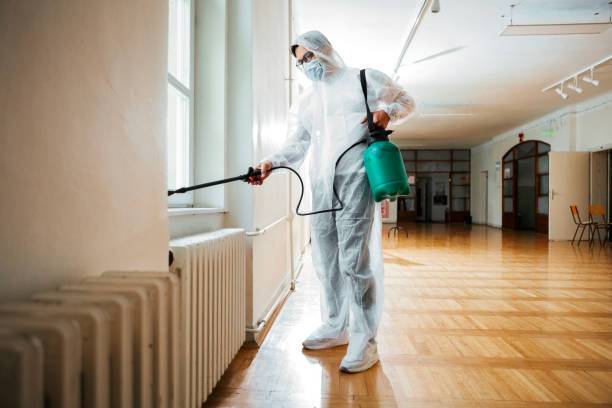Wasp Removal Services in Woodfin, NC