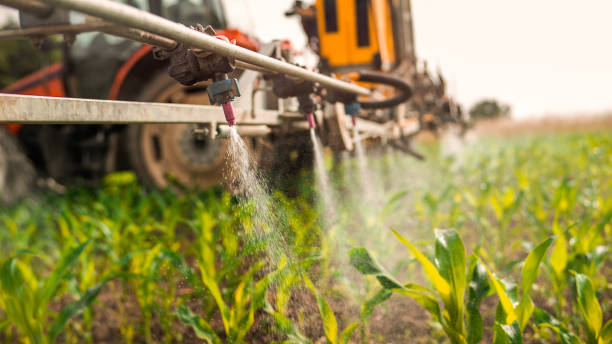 Best Pest Control Cost  in Woodfin, NC